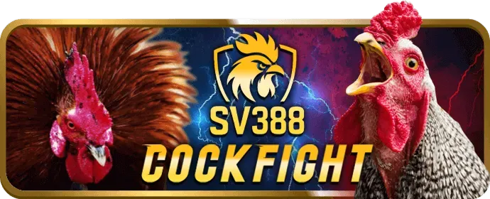 Mẹo cá cược đá gà thông minh tại stone27 win